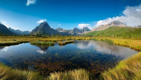 Quelles sont les activités incontournables à faire à Chefchaouen ?