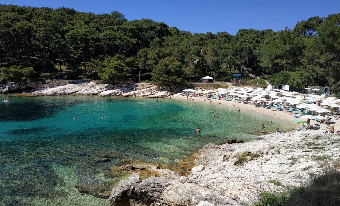 people on beach during daytime